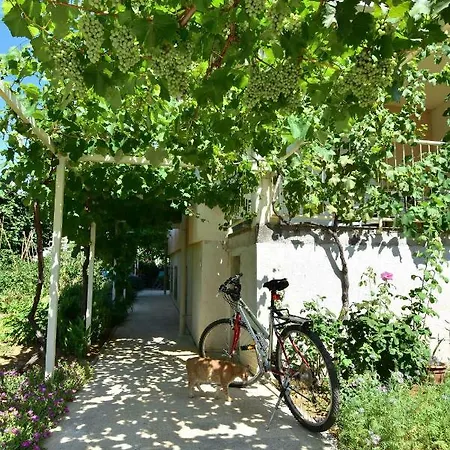 Sunny Heaven * Izola